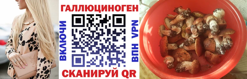 Галлюциногенные грибы ЛСД  ОМГ ОМГ онион  Агидель  как найти закладки 